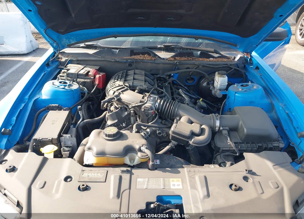 2013 FORD MUSTANG VIN: 1ZVBP8AM0D5218840