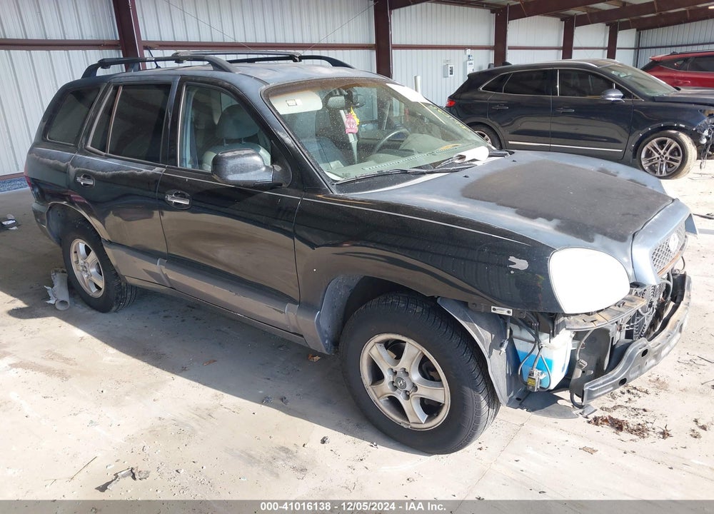 2004 HYUNDAI SANTA FE GLS/LX VIN: KM8SC13E44U791219