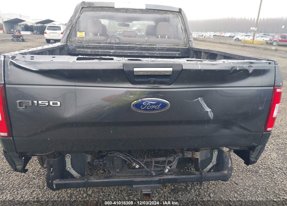 2015 FORD F-150 XLT VIN: 1FTEW1EP8FFB91706
