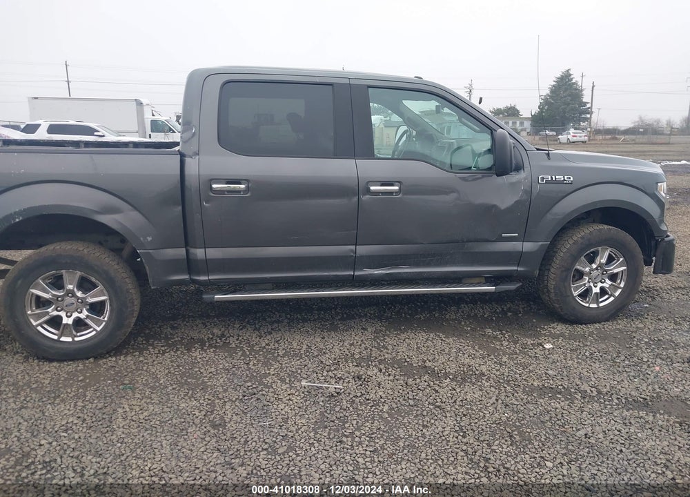 2015 FORD F-150 XLT VIN: 1FTEW1EP8FFB91706