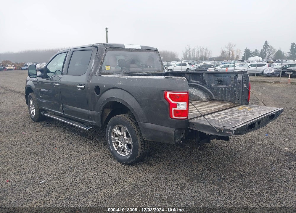 2015 FORD F-150 XLT VIN: 1FTEW1EP8FFB91706