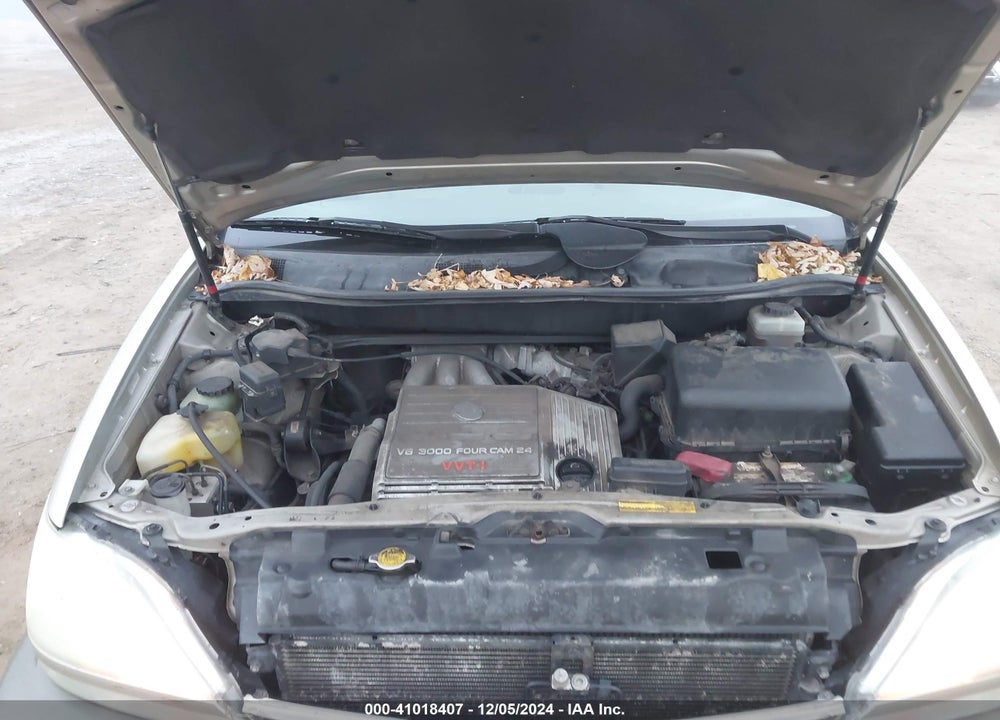 2003 LEXUS RX 300 VIN: JTJHF10U730313249