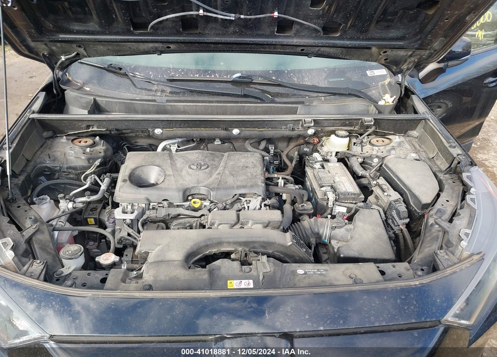 2019 TOYOTA RAV4 LE VIN: JTMG1RFV6KJ012864