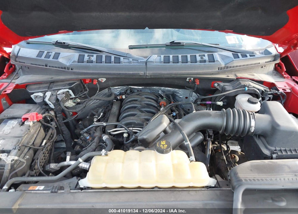 2019 FORD F-150 XLT VIN: 1FTEW1E52KFC39516