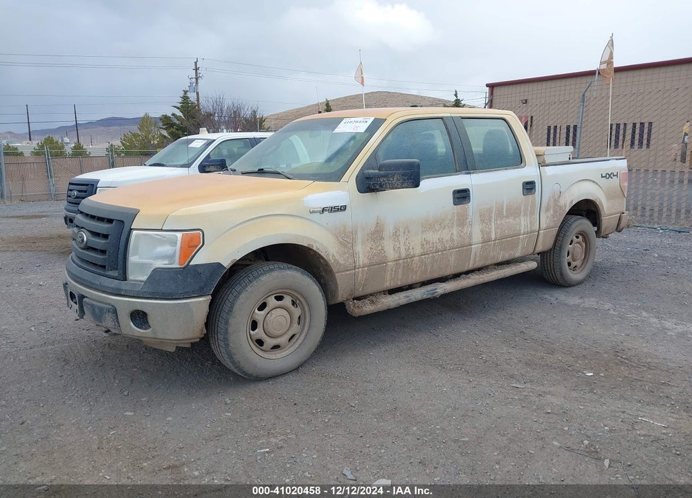 2012 FORD F-150 XL VIN: 1FTFW1EF3CFB74643