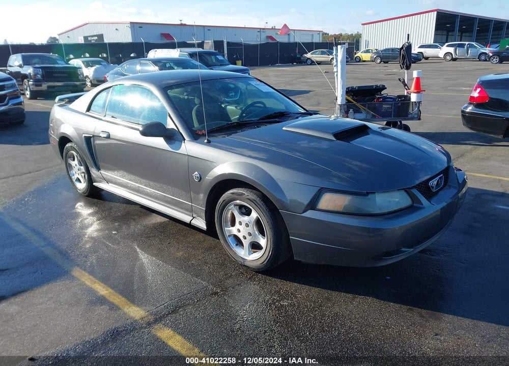2004 FORD MUSTANG VIN: 1FAFP406X4F223284