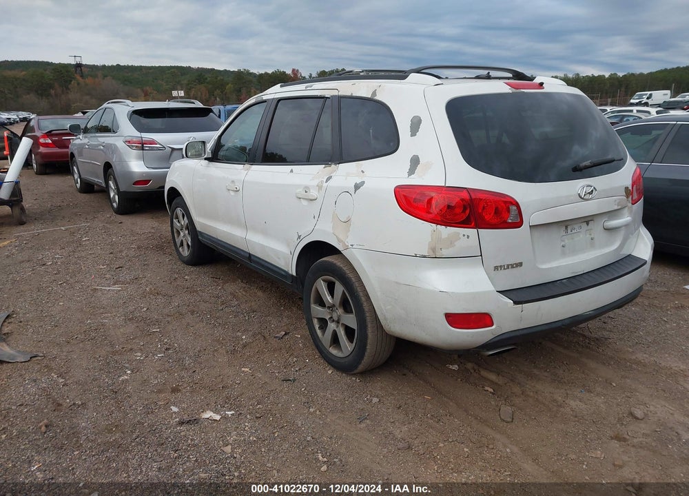 2009 HYUNDAI SANTA FE SE VIN: 5NMSH13E99H325368