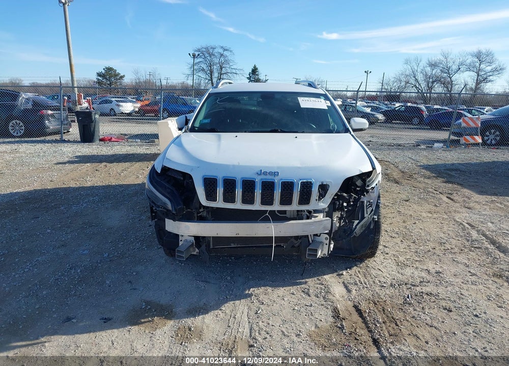 2019 JEEP CHEROKEE VIN: 1C4PJLDN5KD119452