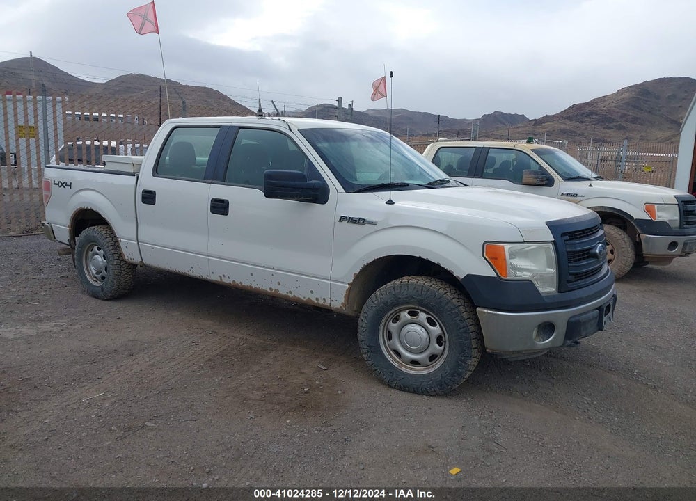 2013 FORD F-150 XL VIN: 1FTFW1EF0DFC36596