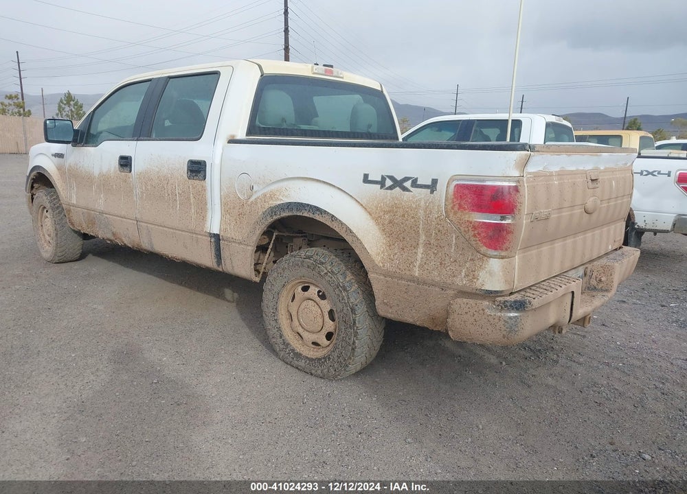 2013 FORD F-150 XL VIN: 1FTFW1EF9DFC36600