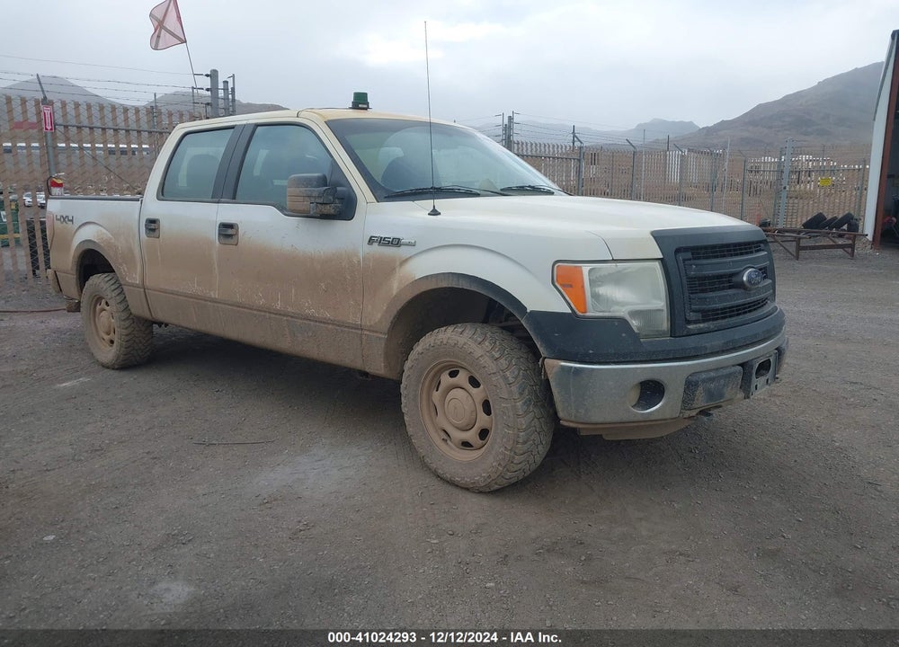 2013 FORD F-150 XL VIN: 1FTFW1EF9DFC36600