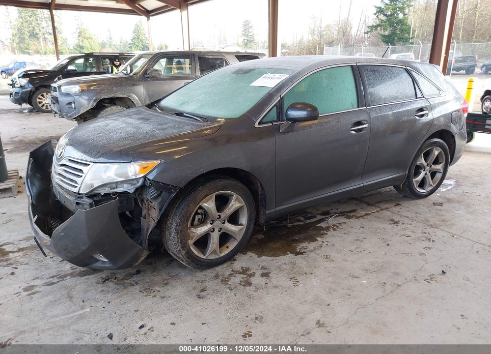 2009 TOYOTA VENZA VIN: 4T3BK11A69U008466