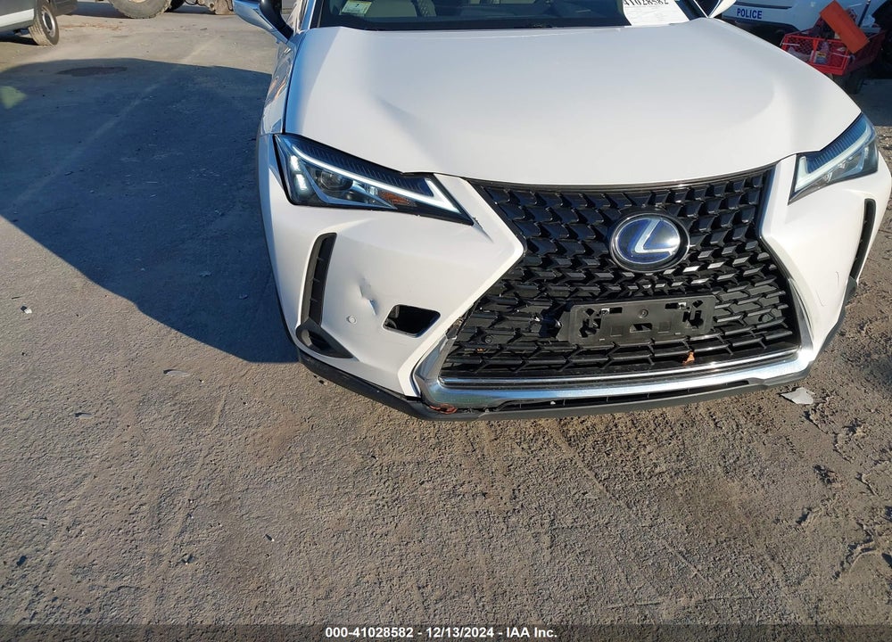 2019 LEXUS UX 250H VIN: JTHU9JBH3K2010432