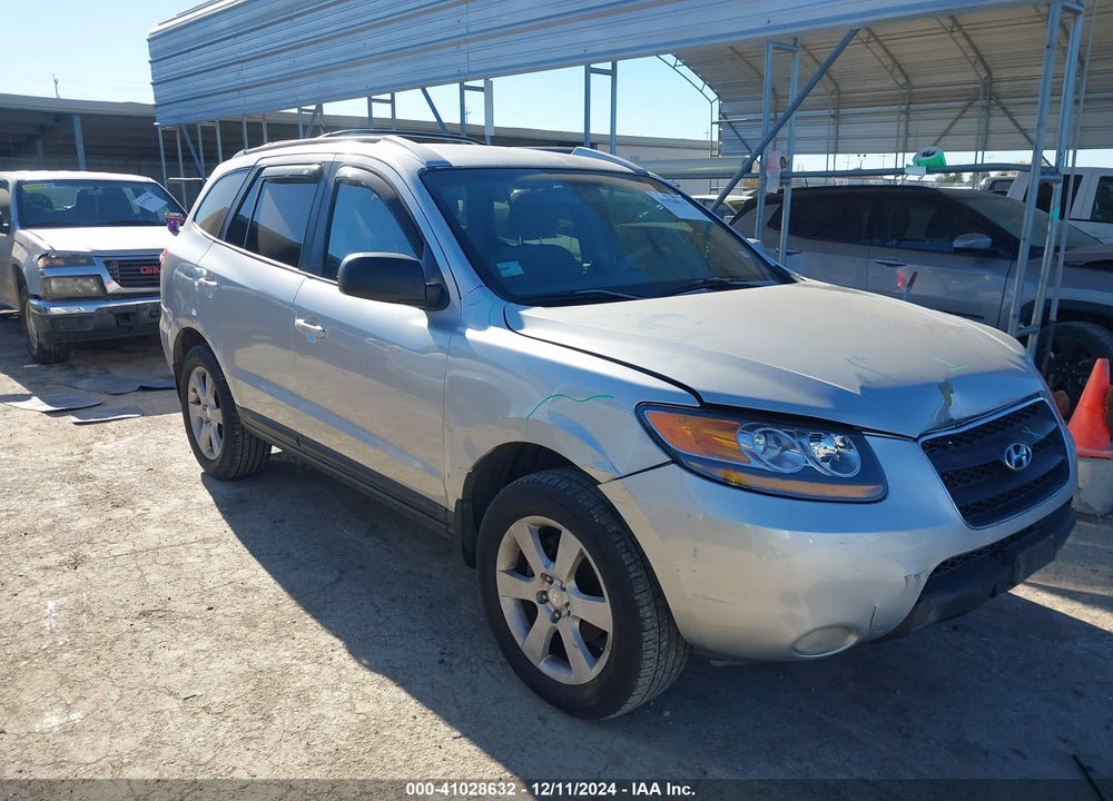 2009 HYUNDAI SANTA FE SE VIN: 5NMSH13E19H243621