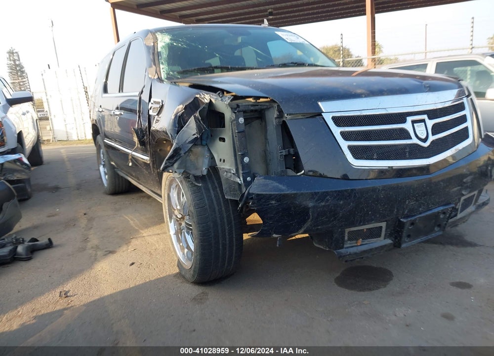 2009 CADILLAC ESCALADE STANDARD VIN: 1GYFK23209R257725