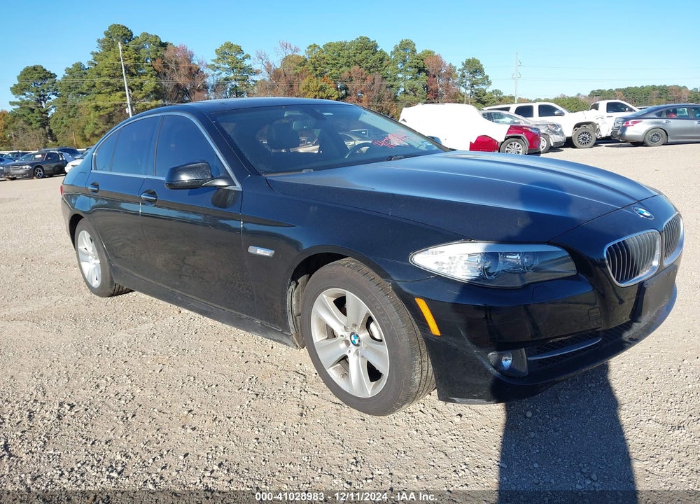 2013 BMW 528I VIN: WBAXG5C56DD230488