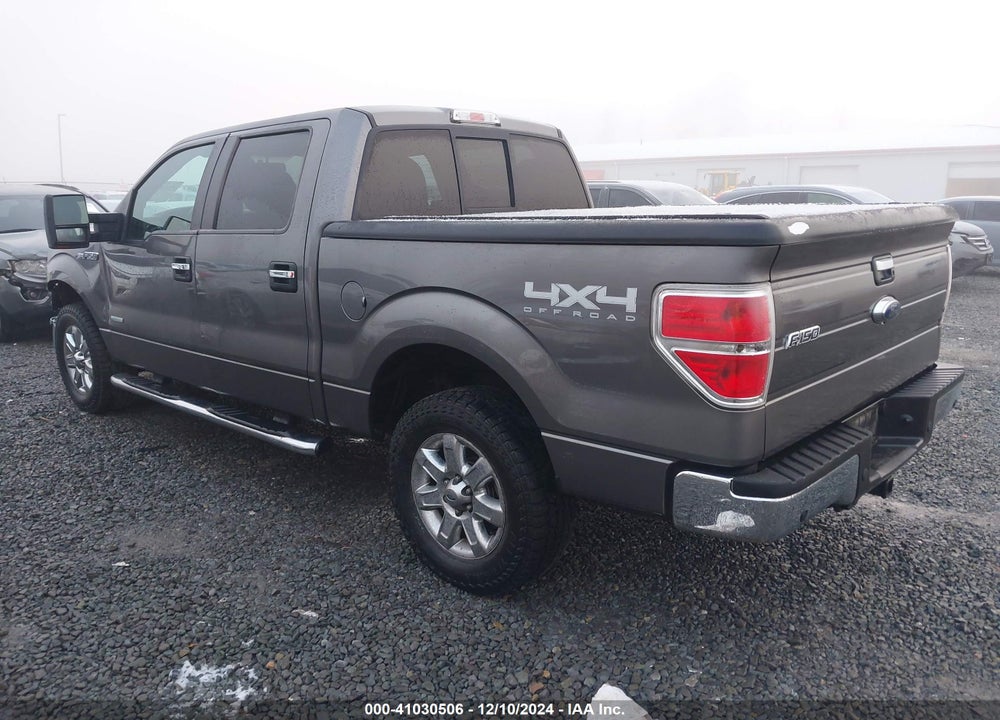 2014 FORD F-150 XLT VIN: 1FTFW1ETXEFC08991