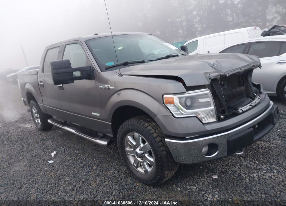 2014 FORD F-150 XLT VIN: 1FTFW1ETXEFC08991