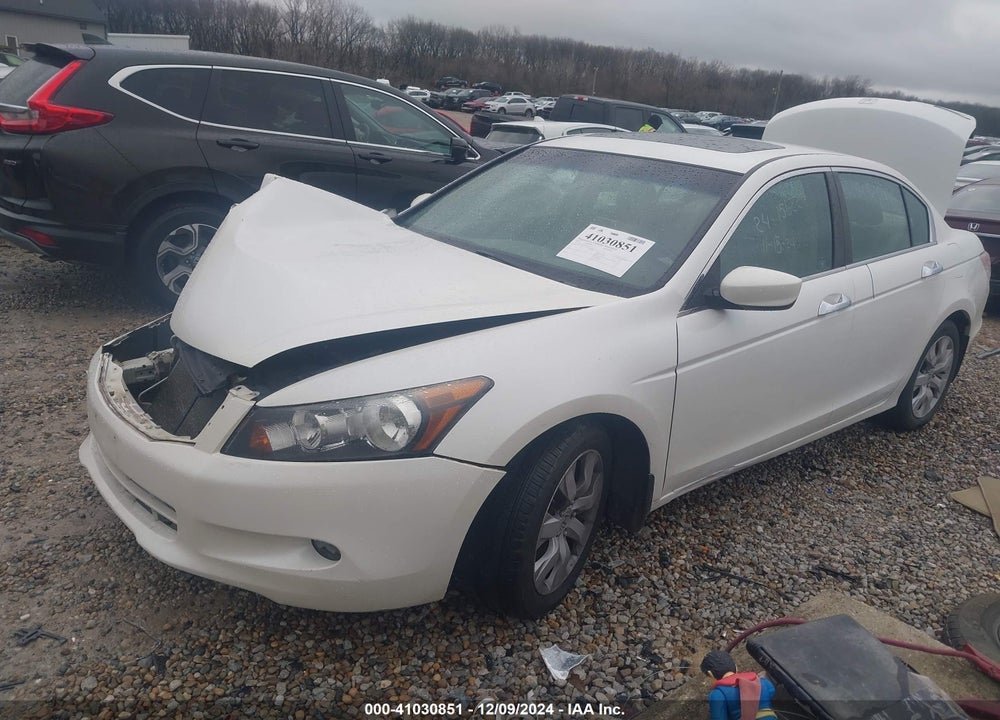 2010 HONDA ACCORD 3.5 EX-L VIN: 1HGCP3F88AA026415