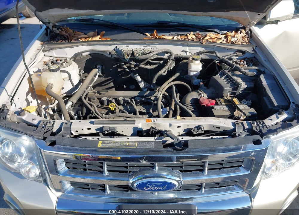 2010 FORD ESCAPE LIMITED VIN: 1FMCU0E76AKC63084