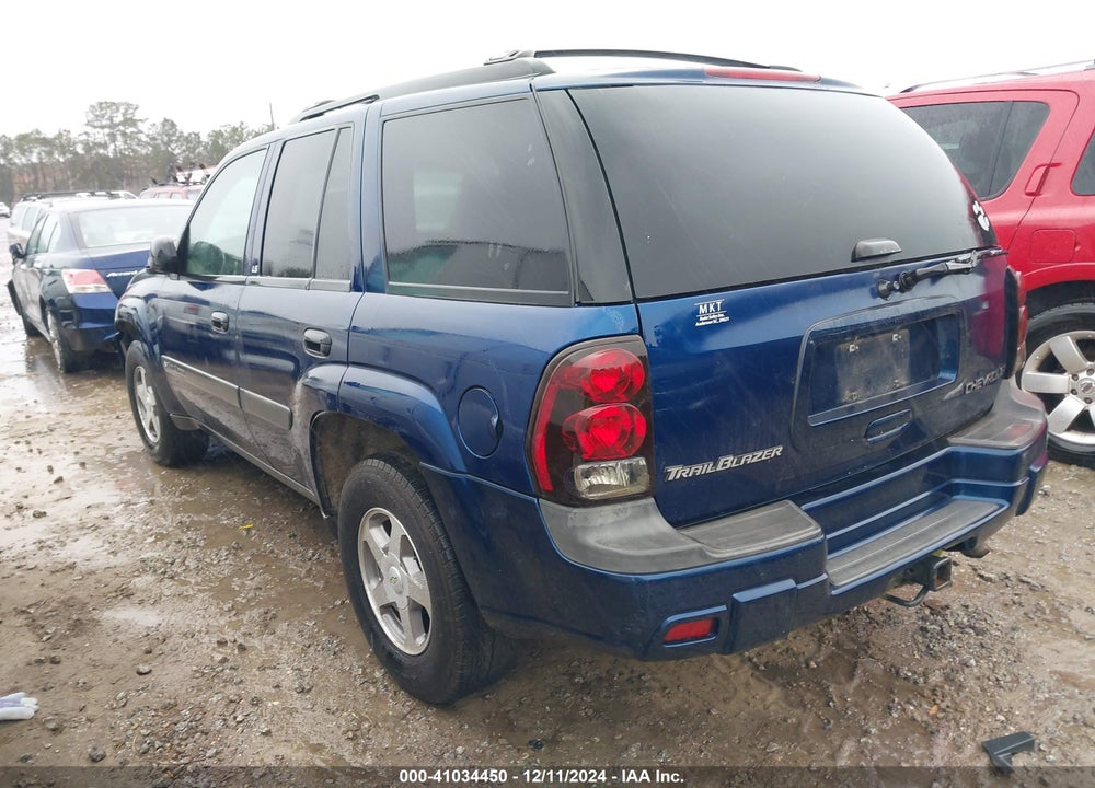 2004 CHEVROLET TRAILBLAZER LS VIN: 1GNDS13S142335235