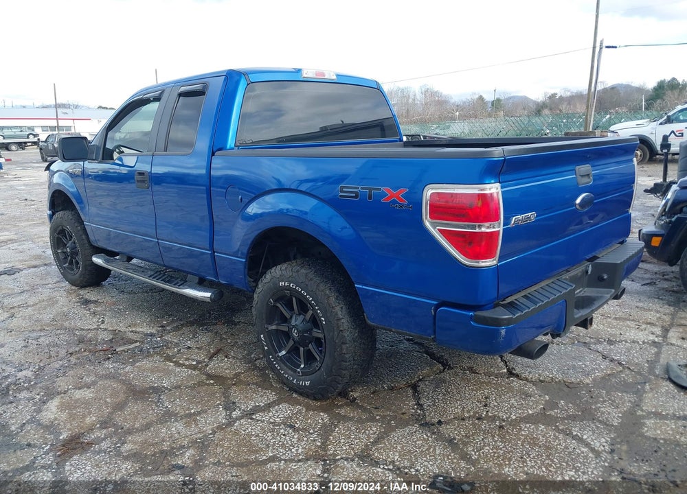 2009 FORD F-150 STX/XL VIN: 1FTRX14W29FA78975