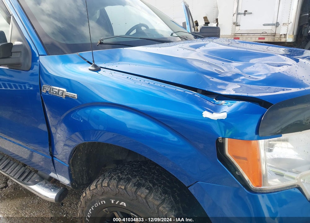2009 FORD F-150 STX/XL VIN: 1FTRX14W29FA78975