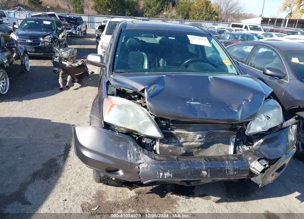 2010 HONDA CR-V EX-L VIN: 5J6RE4H79AL089224