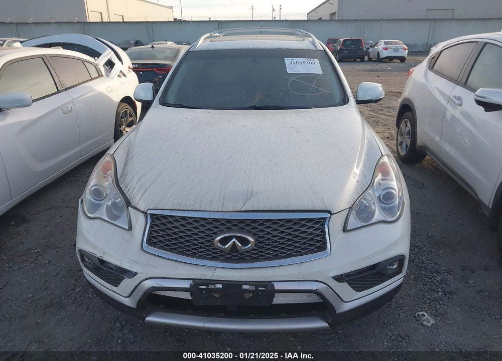 2017 INFINITI QX50 VIN: JN1BJ0RPXHM383829