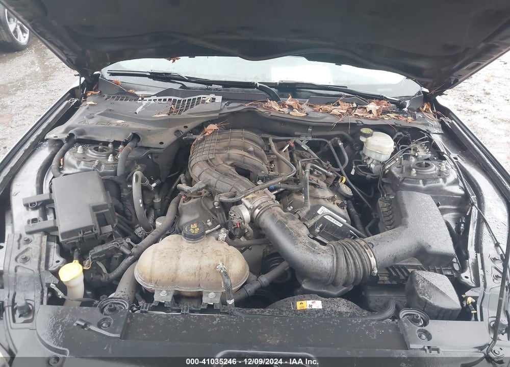 2015 FORD MUSTANG V6 VIN: 1FA6P8AM5F5336105