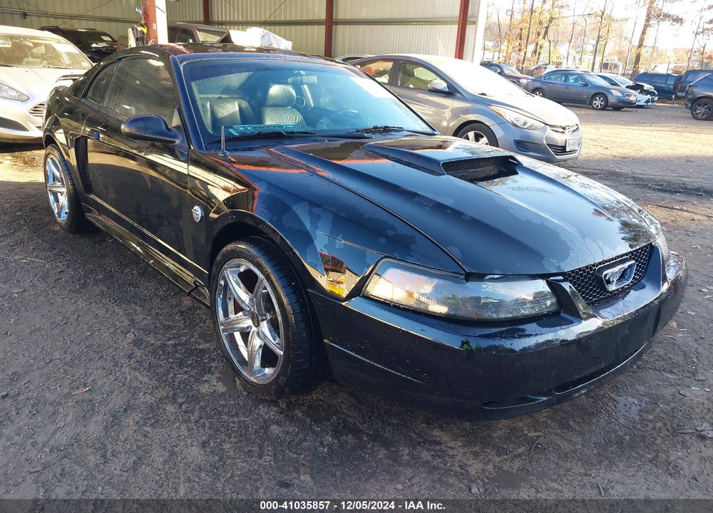 2004 FORD MUSTANG GT VIN: 1FAFP42X54F114771