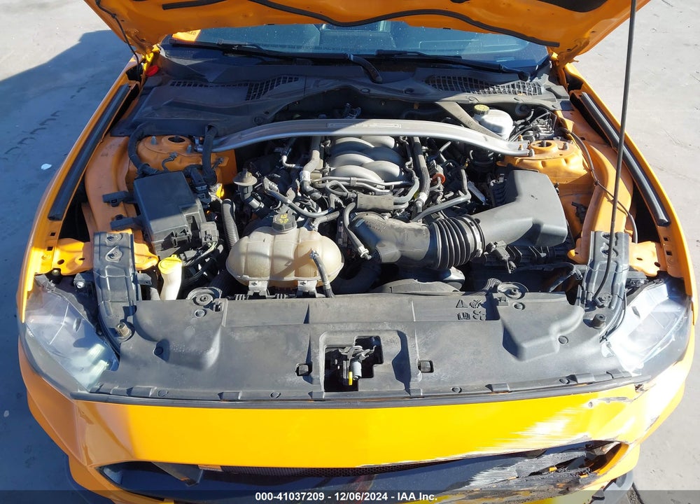 2019 FORD MUSTANG GT PREMIUM VIN: 1FA6P8CF2K5125081
