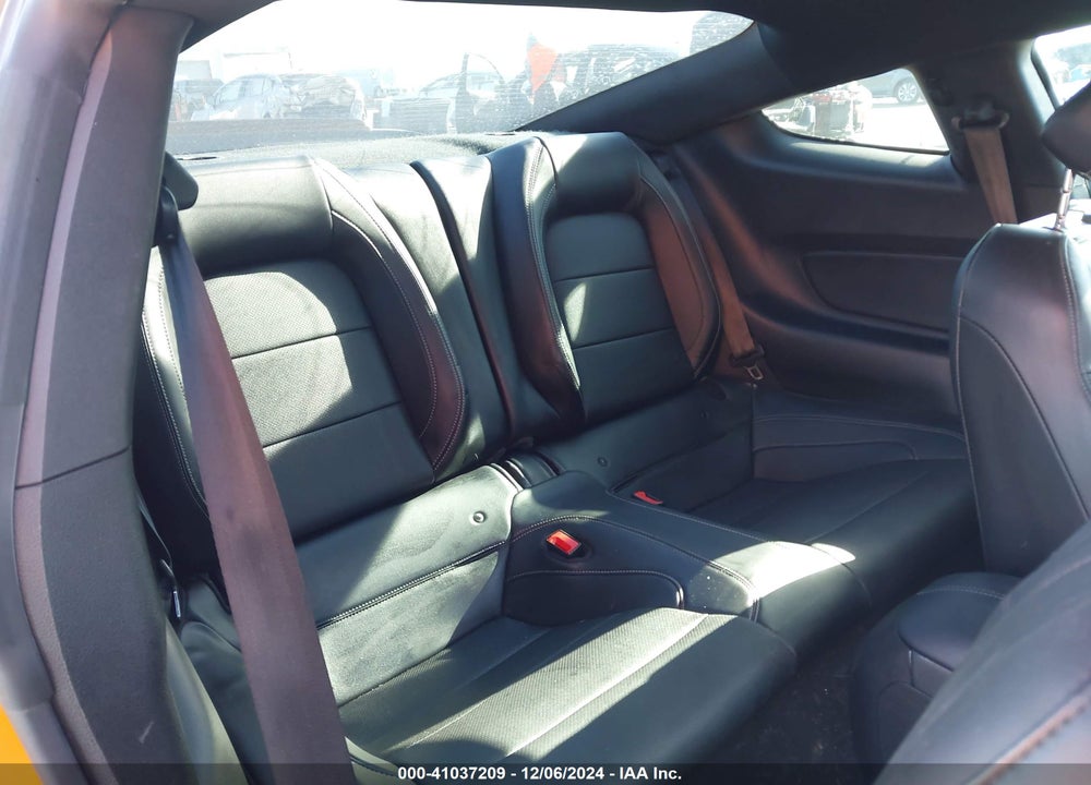 2019 FORD MUSTANG GT PREMIUM VIN: 1FA6P8CF2K5125081