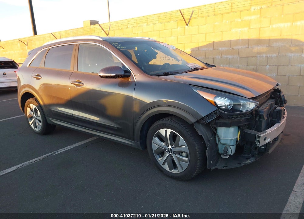 2019 KIA NIRO EV EX PREMIUM VIN: KNDCE3LG4K5020153