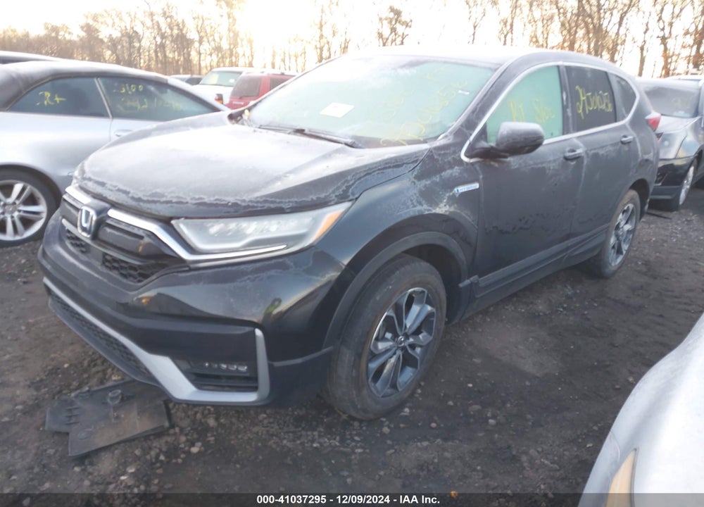 2022 HONDA CR-V VIN: 5J6RT6H81NL013366