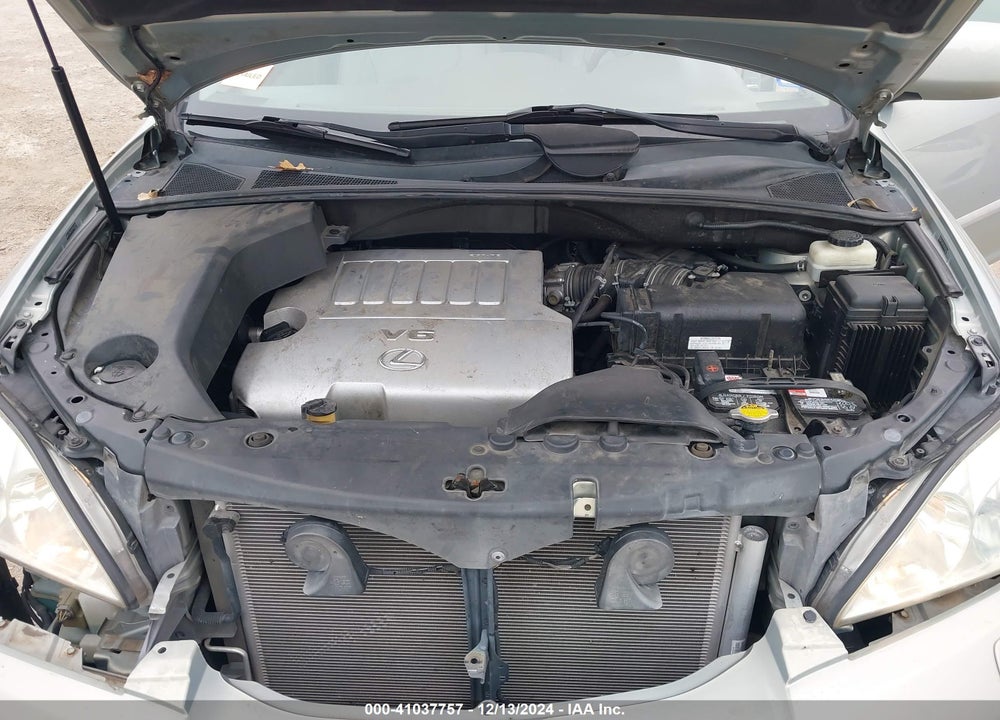 2007 LEXUS RX 350 VIN: 2T2GK31U37C005197