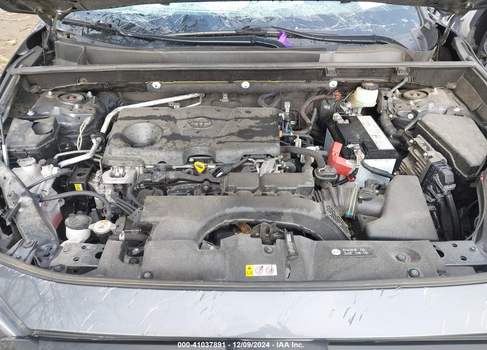 2019 TOYOTA RAV4 XLE VIN: JTMW1RFV5KD022425