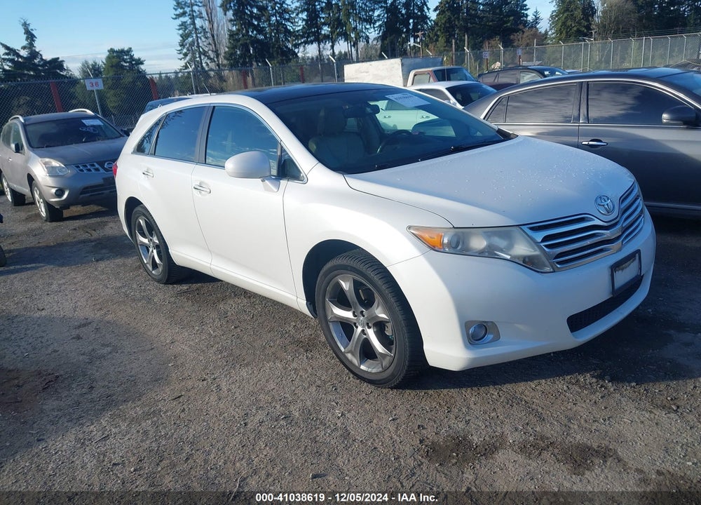 2009 TOYOTA VENZA VIN: 4T3BK11A39U023524