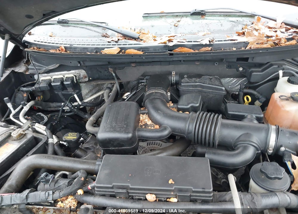 2010 FORD F-150 FX4/HARLEY-DAVIDSON/KING RANCH/LARIAT/PLATINUM/XL/XLT VIN: 1FTFW1EV2AKB25686