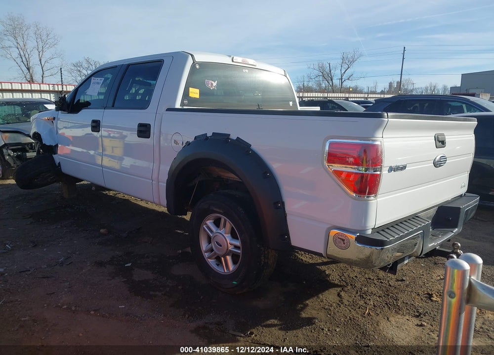 2010 FORD F-150 VIN: 1FTEW1CW2AFD88390