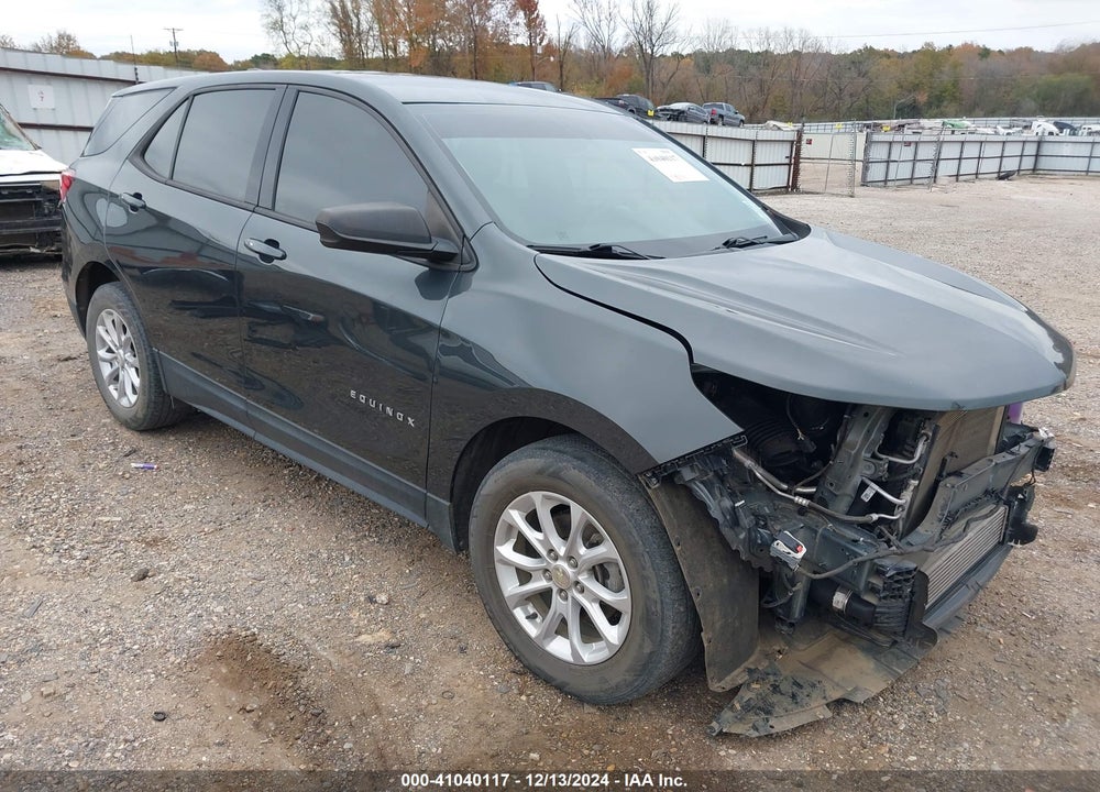 2019 CHEVROLET EQUINOX LS VIN: 3GNAXHEV9KS671866