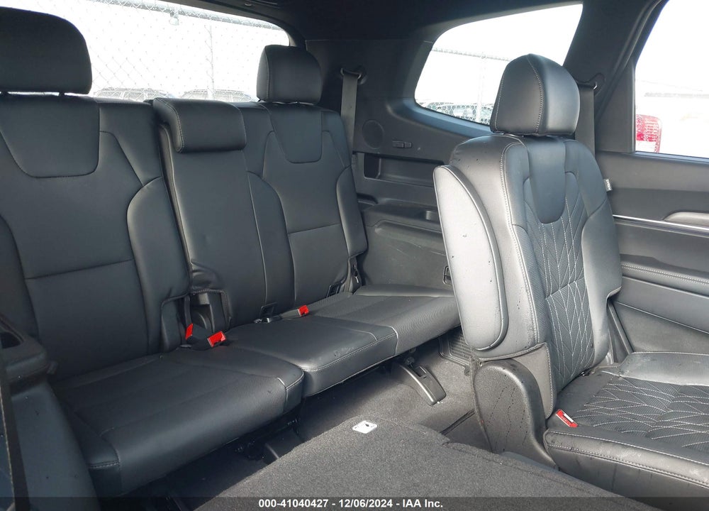 2024 KIA TELLURIDE SX X-LINE VIN: 5XYP5DGC7RG444183