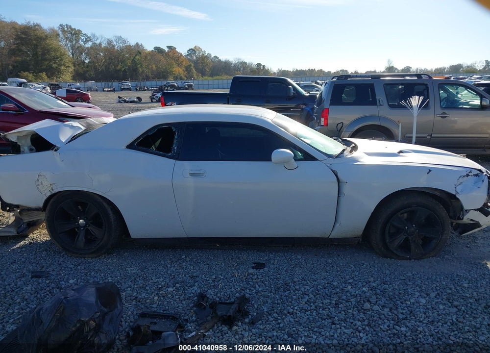 2010 CHALLENGER DODGE  SE VIN: 2B3CJ4DV5AH319383