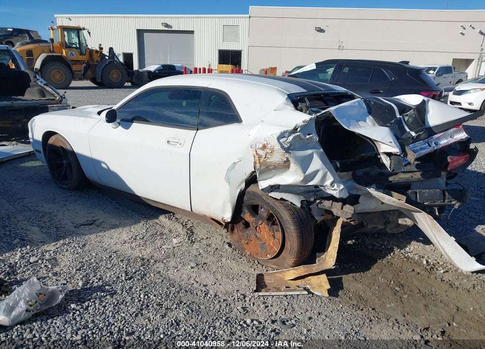 2010 CHALLENGER DODGE  SE VIN: 2B3CJ4DV5AH319383