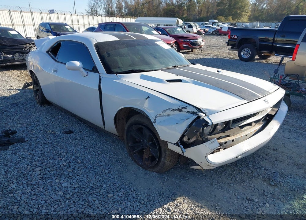 2010 CHALLENGER DODGE  SE VIN: 2B3CJ4DV5AH319383
