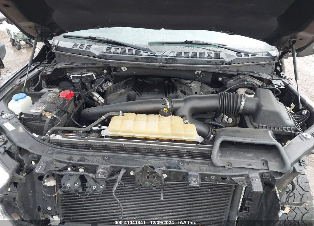 2019 FORD F-150 XLT VIN: 1FTFW1E45KFC43216