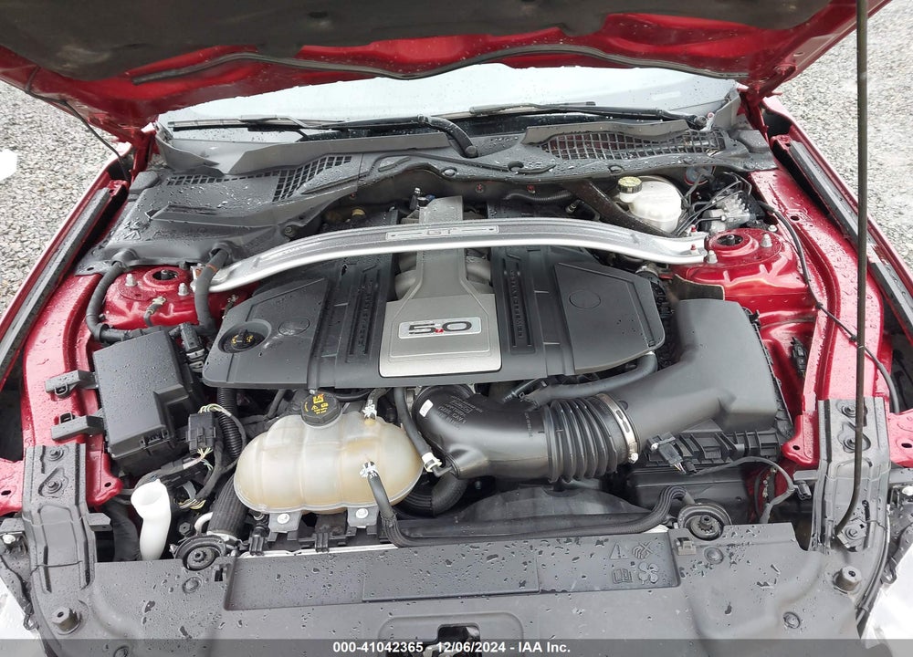 2019 FORD MUSTANG GT PREMIUM VIN: 1FATP8FF2K5104097