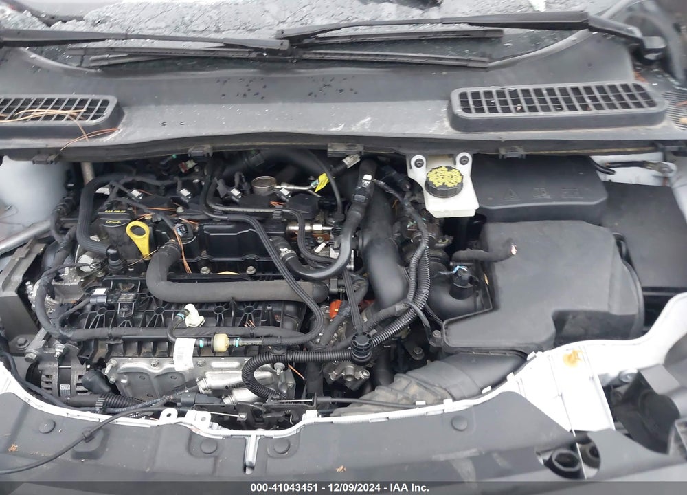 2019 FORD ESCAPE VIN: 1FMCU0GD1KUC02444