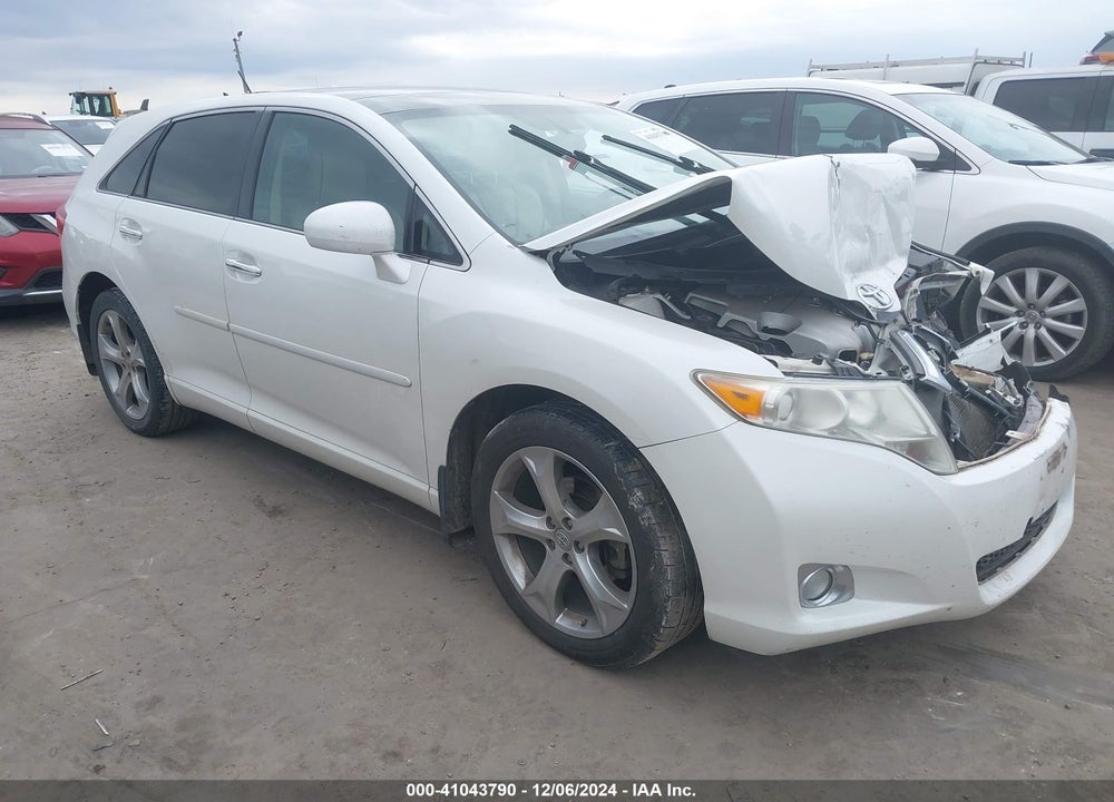 2009 TOYOTA VENZA VIN: 4T3BK11A19U017673