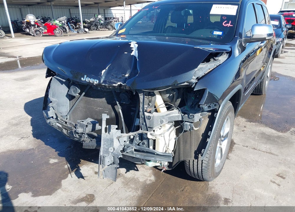 2016 JEEP GRAND CHEROKEE VIN: 1C4RJEBG9GC313892